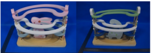Image shows Dino and Bunny ball runner