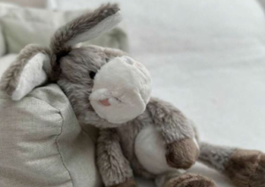A grey donkey soft toy leaning against a cushion.