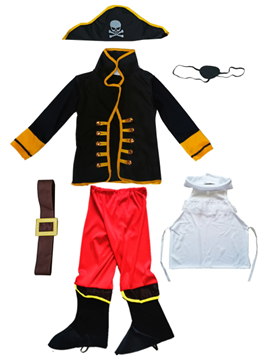 Product Safety Information Notice on Children’s Pirate Costume sold on the TEMU platform