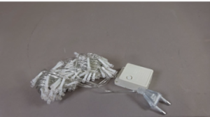 An image of a lighting chain with two pin plug.