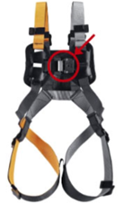 Front view of harness with a red circle highlighting the rear buckle location.