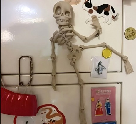 Skeleton fridge magnet